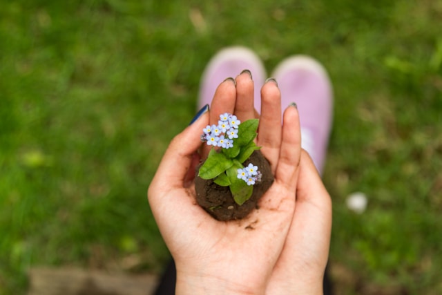 Dünger im Garten – Mineralisch oder organisch?