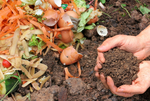 Nahaufnahme eines Komposthaufens und einer Hand, die kompostierte Erde hält