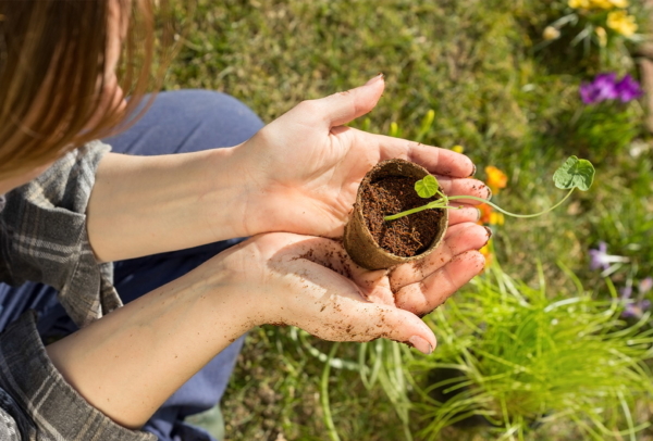 Alternativen zu Plastik- Umweltbewusstes Gärtnern