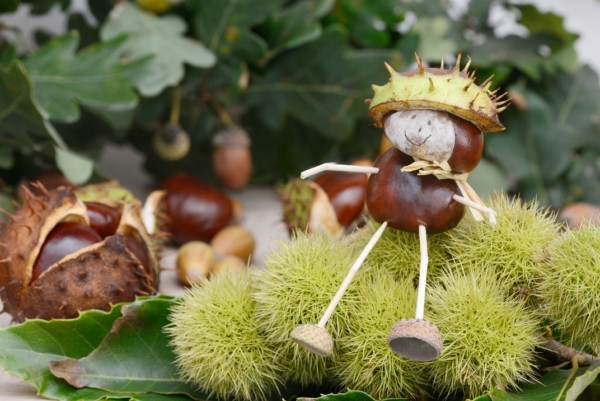 Herbstzeit ist Kastanienzeit