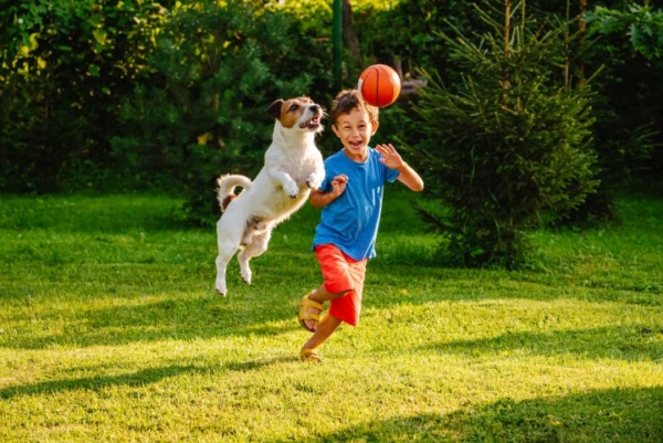 Ein kleiner Junge spielt mit einem Hund