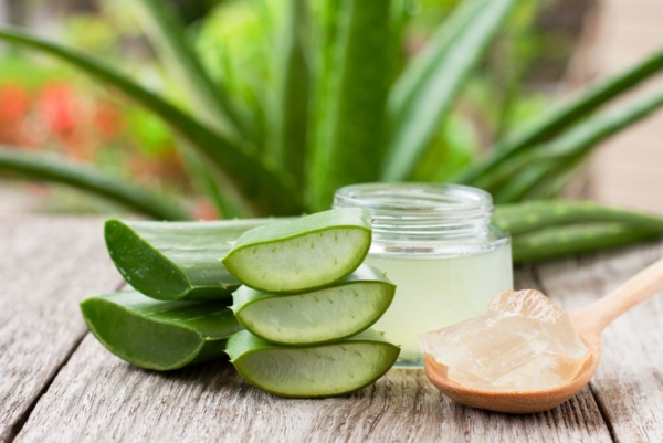 Man erkennt Aloe Vera Blätter und ein Gläschen mit Gel