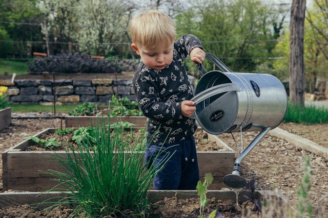 Gemüsegarten anlegen für Anfänger